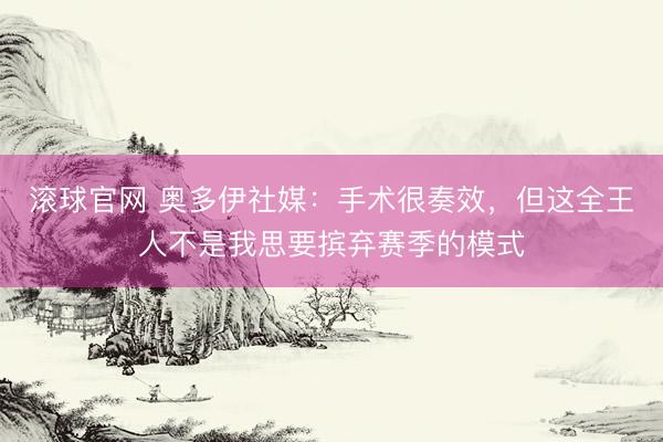 滚球官网 奥多伊社媒：手术很奏效，但这全王人不是我思要摈弃赛季的模式