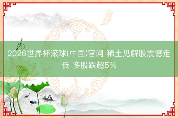 2026世界杯滚球(中国)官网 稀土见解股震憾走低 多股跌超5%