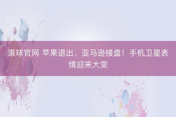 滚球官网 苹果退出、亚马逊接盘！手机卫星表情迎来大变