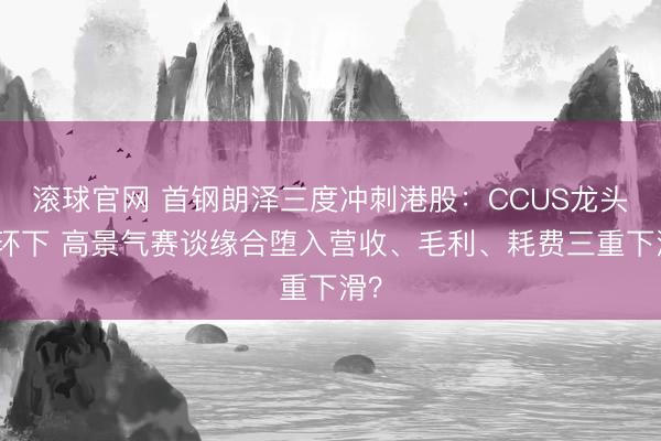 滚球官网 首钢朗泽三度冲刺港股：CCUS龙头光环下 高景气赛谈缘合堕入营收、毛利、耗费三重下滑？