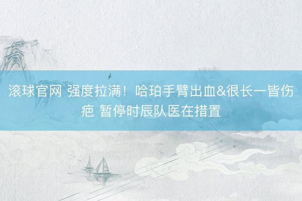 滚球官网 强度拉满！哈珀手臂出血&很长一皆伤疤 暂停时辰队医在措置