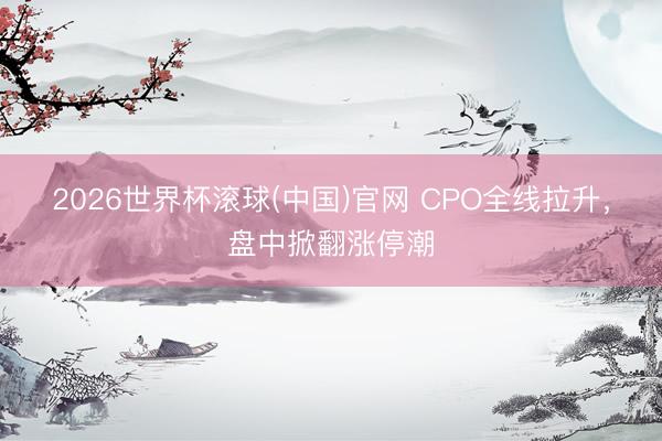 2026世界杯滚球(中国)官网 CPO全线拉升，盘中掀翻涨停潮