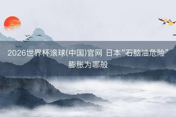 2026世界杯滚球(中国)官网 日本“石脑油危险”膨胀为哪般