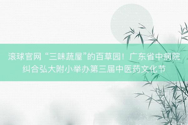 滚球官网 “三味蔬屋”的百草园！广东省中病院纠合弘大附小举办第三届中医药文化节