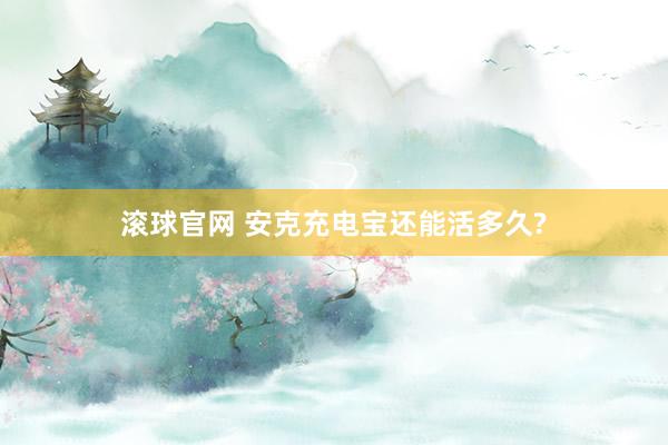 滚球官网 安克充电宝还能活多久?
