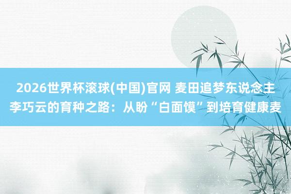 2026世界杯滚球(中国)官网 麦田追梦东说念主李巧云的育种之路：从盼“白面馍”到培育健康麦
